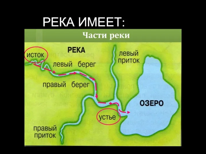 РЕКА ИМЕЕТ: