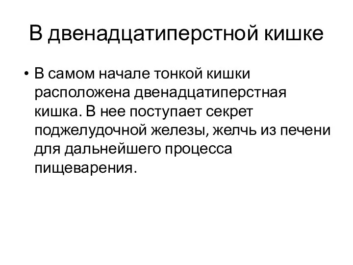 В двенадцатиперстной кишке В самом начале тонкой кишки расположена двенадцатиперстная