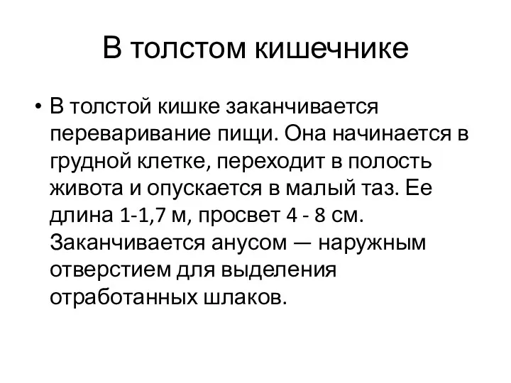 В толстом кишечнике В толстой кишке заканчивается переваривание пищи. Она