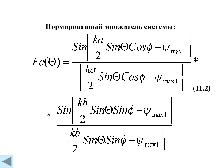 (11.2) Нормированный множитель системы: *