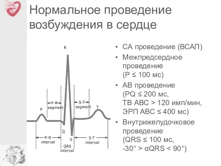 Нормальное проведение возбуждения в сердце СА проведение (ВСАП) Межпредсердное проведение (Р ≤ 100