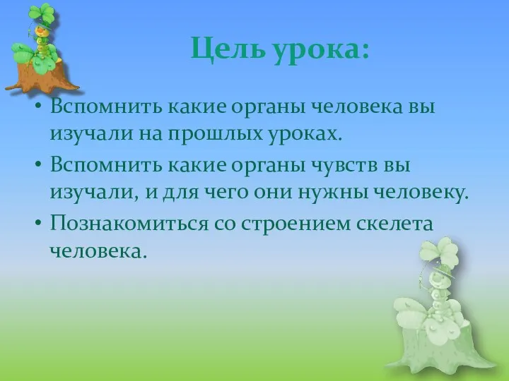 Цель урока: Вспомнить какие органы человека вы изучали на прошлых