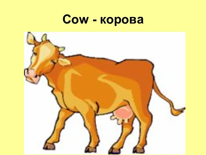 Cow - корова