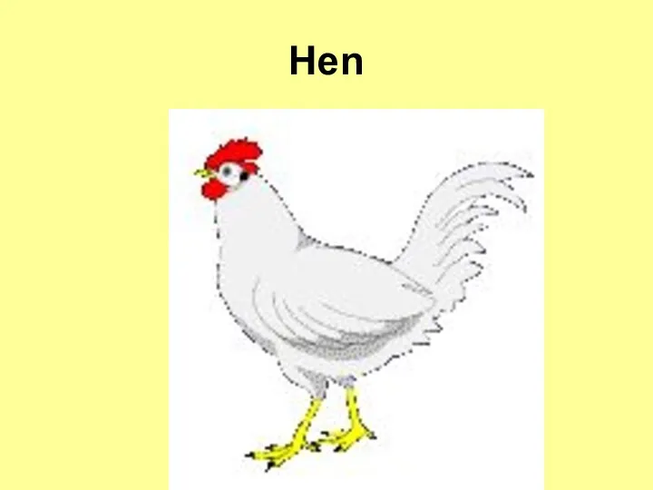 Hen