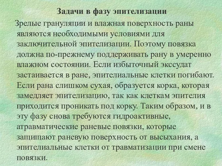 Задачи в фазу эпителизации Зрелые грануляции и влажная поверхность раны