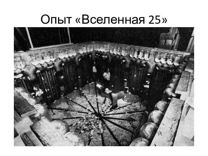 Опыт «Вселенная 25»