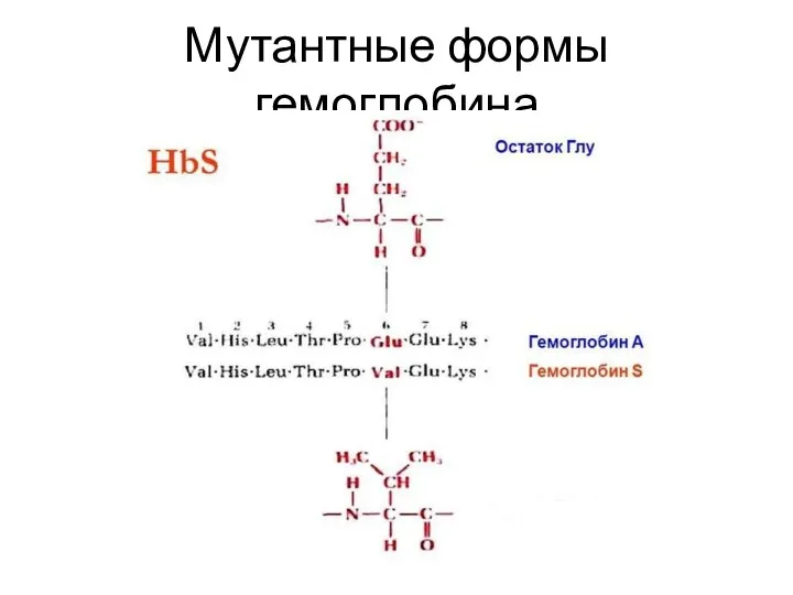 Мутантные формы гемоглобина