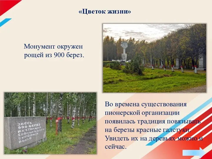 «Цветок жизни» Во времена существования пионерской организации появилась традиция повязывать