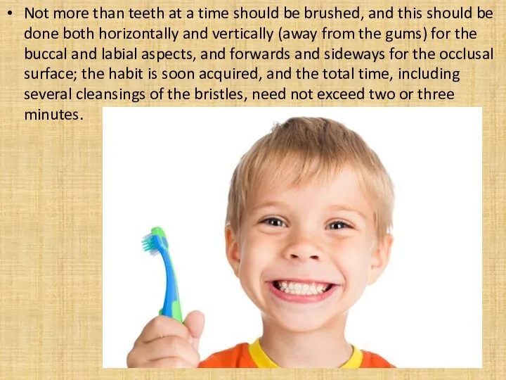 Not more than teeth at a time should be brushed,