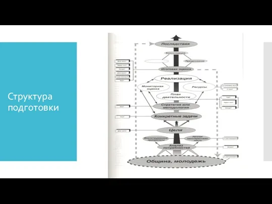 Структура подготовки