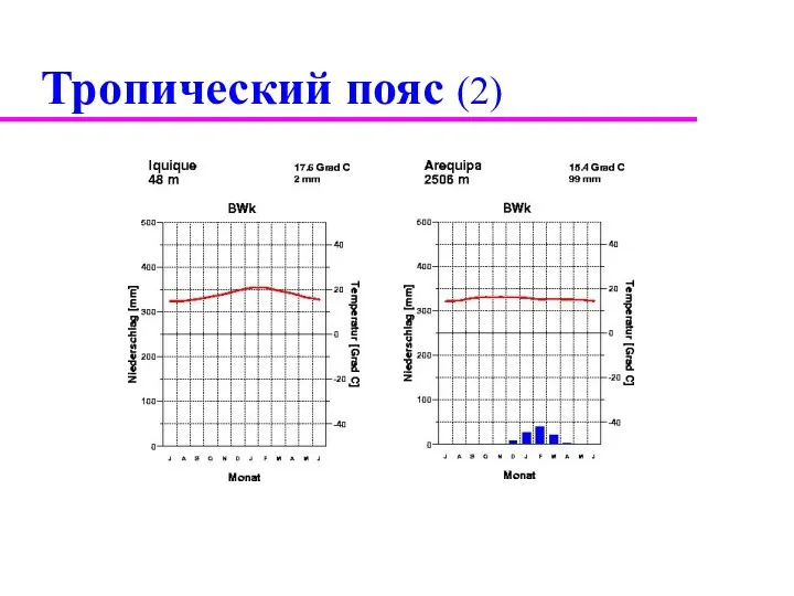 Тропический пояс (2)