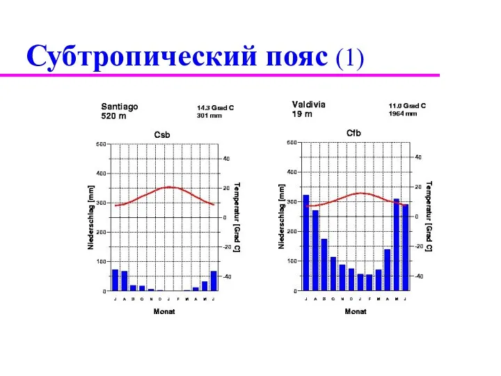 Субтропический пояс (1)