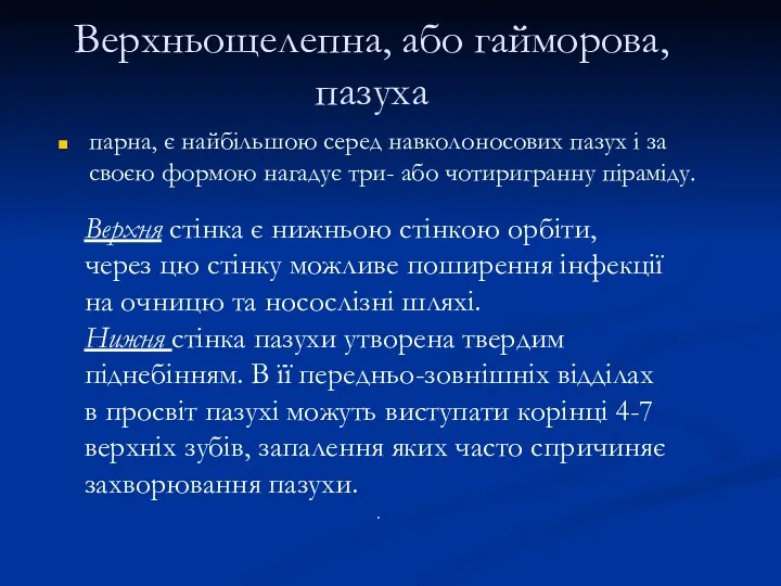 парна, є найбільшою серед навколоносових пазух і за своєю формою