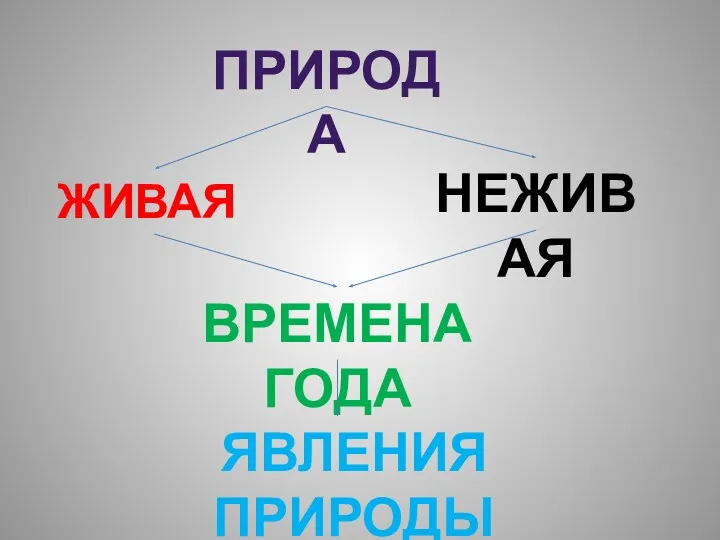 ЖИВАЯ ПРИРОДА НЕЖИВАЯ ВРЕМЕНА ГОДА ЯВЛЕНИЯ ПРИРОДЫ