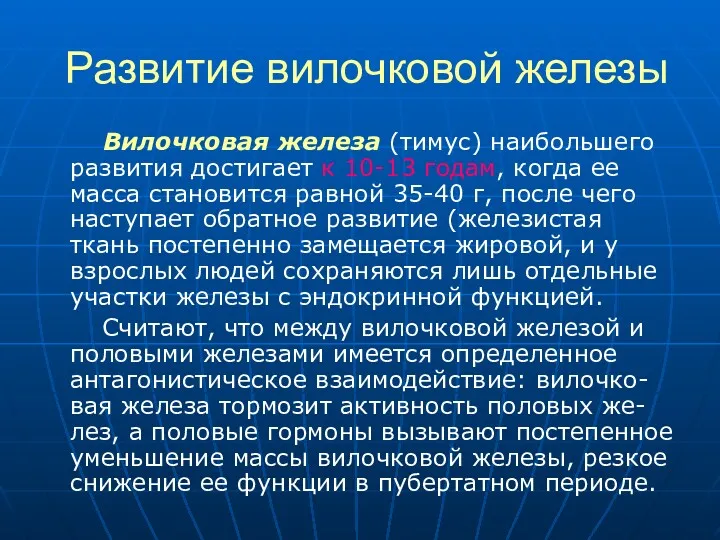 Развитие вилочковой железы Вилочковая железа (тимус) наибольшего развития достигает к