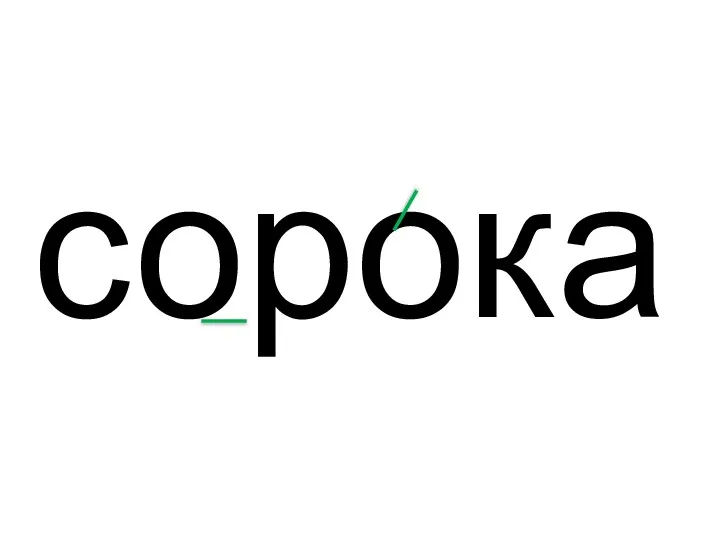 сорока