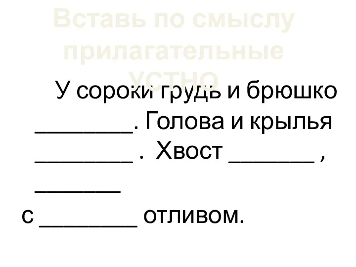 У сороки грудь и брюшко ________. Голова и крылья ________