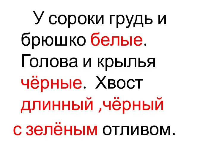 У сороки грудь и брюшко белые. Голова и крылья чёрные. Хвост длинный ,чёрный с зелёным отливом.