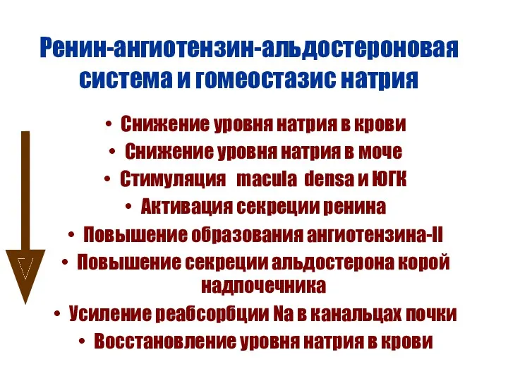 Ренин-ангиотензин-альдостероновая система и гомеостазис натрия Снижение уровня натрия в крови