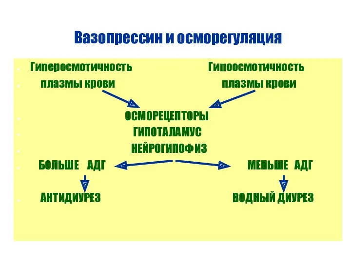 Вазопрессин и осморегуляция Гиперосмотичность Гипоосмотичность плазмы крови плазмы крови ОСМОРЕЦЕПТОРЫ