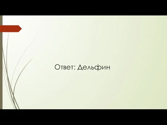 Ответ: Дельфин