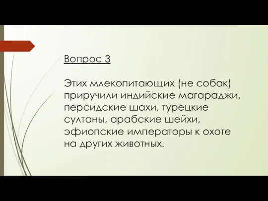 Вопрос 3 Этих млекопитающих (не собак) приручили индийские магараджи, персидские