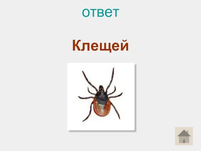 ответ Клещей