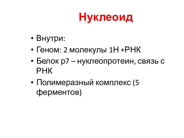 Нуклеоид Внутри: Геном: 2 молекулы 1Н +РНК Белок р7 –