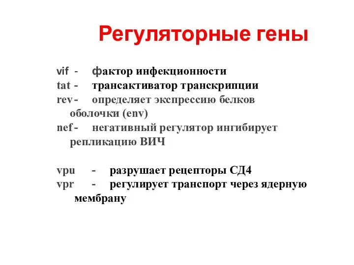 Регуляторные гены vif - фактор инфекционности tat - трансактиватор транскрипции