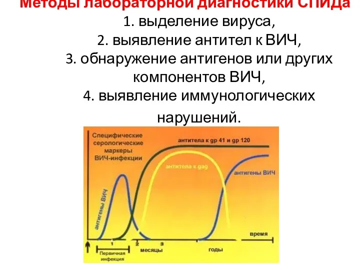 Методы лабораторной диагностики СПИДа 1. выделение вируса, 2. выявление антител