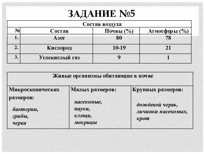 ЗАДАНИЕ №5 бактерии, грибы, черви насекомые, пауки, клещи, мокрицы дождевой червь, личинки насекомых, крот