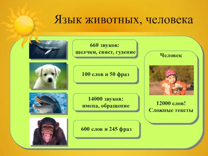 Язык животных, человека 660 звуков: щелчки, свист, гудение 14000 звуков: