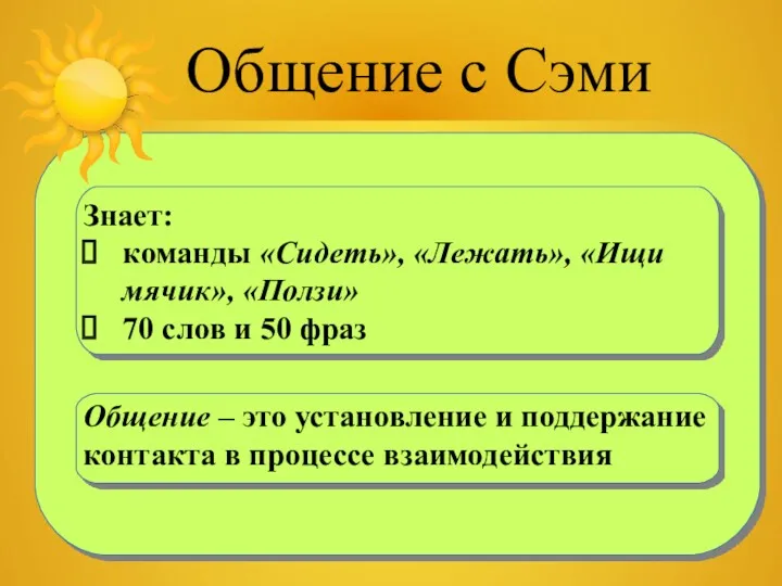 Общение с Сэми Знает: команды «Сидеть», «Лежать», «Ищи мячик», «Ползи»