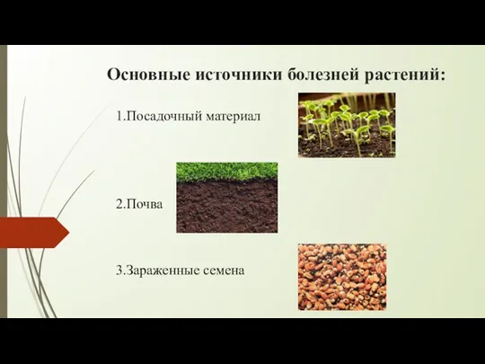 Основные источники болезней растений: 1.Посадочный материал 2.Почва 3.Зараженные семена