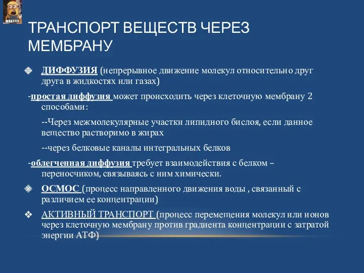 ТРАНСПОРТ ВЕЩЕСТВ ЧЕРЕЗ МЕМБРАНУ ДИФФУЗИЯ (непрерывное движение молекул относительно друг