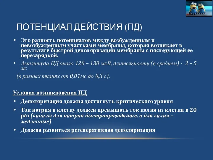 ПОТЕНЦИАЛ ДЕЙСТВИЯ (ПД) Это разность потенциалов между возбужденным и невозбужденным