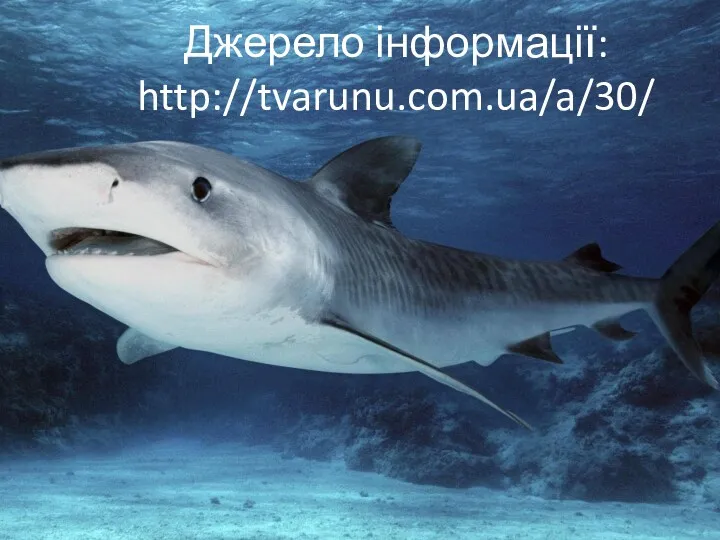 Джерело інформації: http://tvarunu.com.ua/a/30/