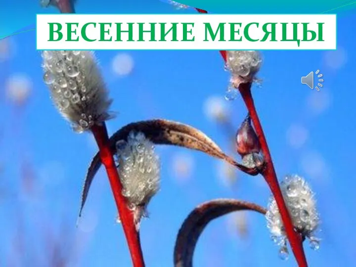 ВЕСЕННИЕ МЕСЯЦЫ