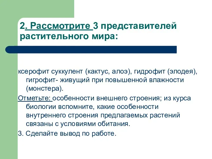 2. Рассмотрите 3 представителей растительного мира: ксерофит суккулент (кактус, алоэ), гидрофит (элодея), гигрофит-