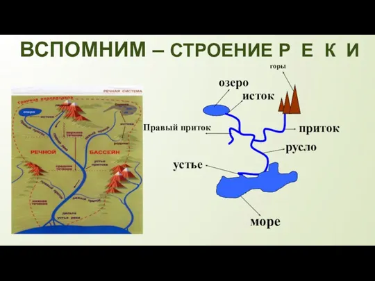 исток русло море устье озеро Правый приток горы приток ВСПОМНИМ – СТРОЕНИЕ Р Е К И