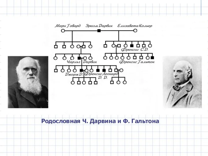 Родословная Ч. Дарвина и Ф. Гальтона