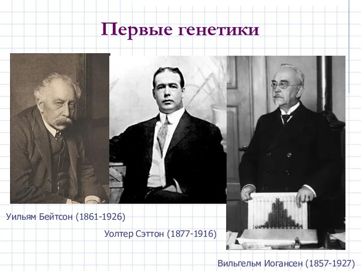 Первые генетики Уильям Бейтсон (1861-1926) Вильгельм Иогансен (1857-1927) Уолтер Сэттон (1877-1916)