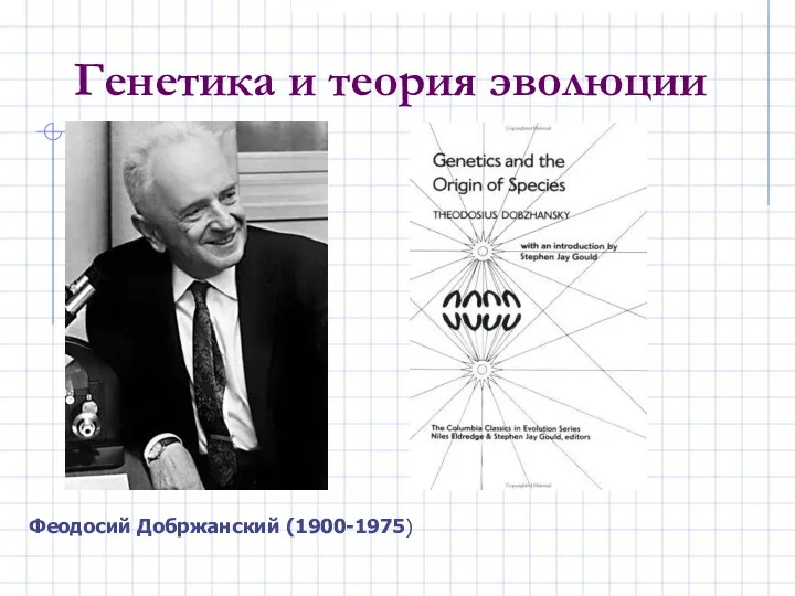Генетика и теория эволюции Феодосий Добржанский (1900-1975)
