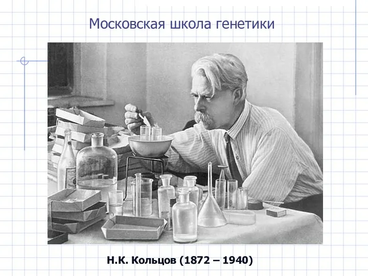 Н.К. Кольцов (1872 – 1940) Московская школа генетики