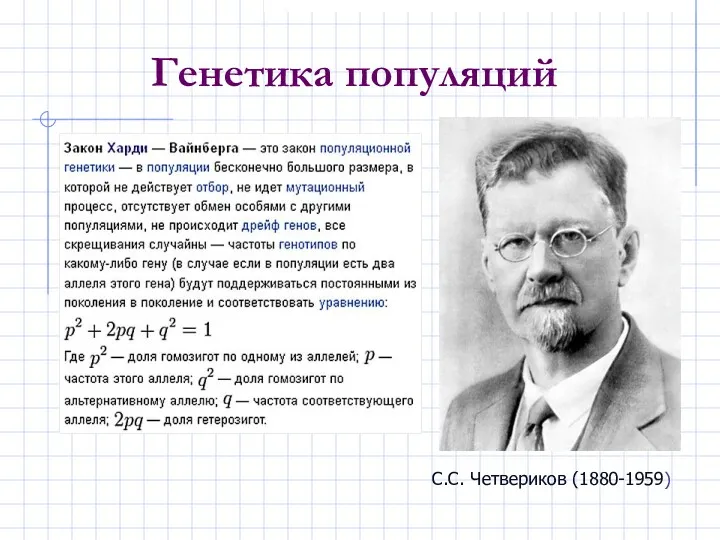 Генетика популяций С.С. Четвериков (1880-1959)