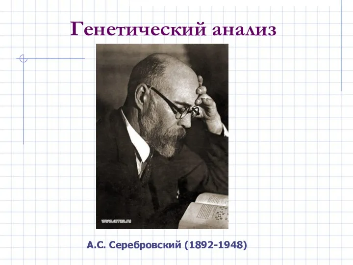 А.С. Серебровский (1892-1948) Генетический анализ