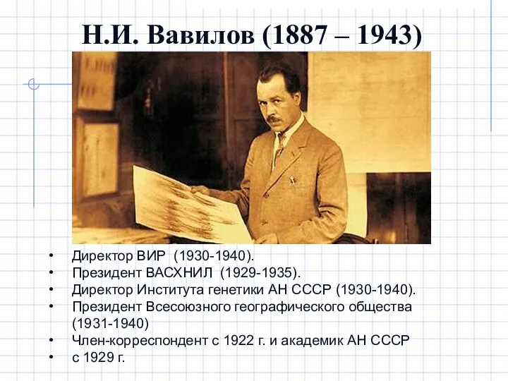 Н.И. Вавилов (1887 – 1943) Директор ВИР (1930-1940). Президент ВАСХНИЛ