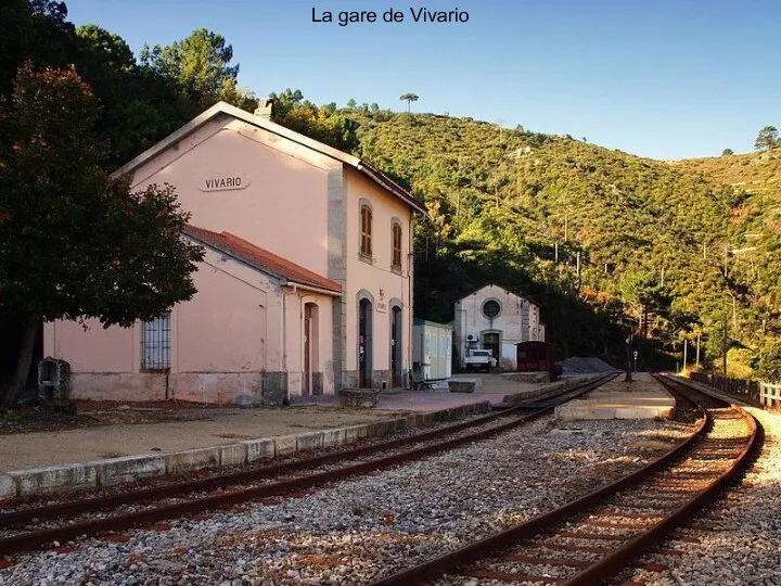 La gare de Vivario