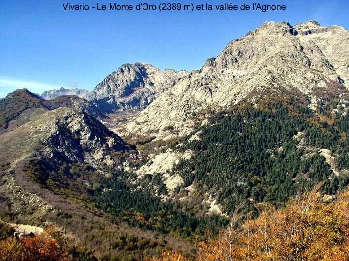 Vivario - Le Monte d'Oro (2389 m) et la vallée de l'Agnone