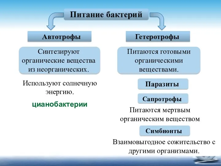 Питание бактерий Автотрофы Гетеротрофы Синтезируют органические вещества из неорганических. Питаются